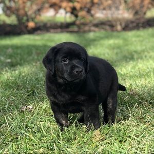 Meet your Posher, Austin